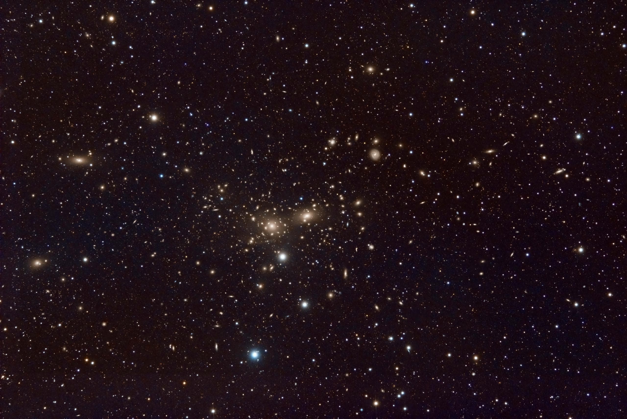 Coma cluster