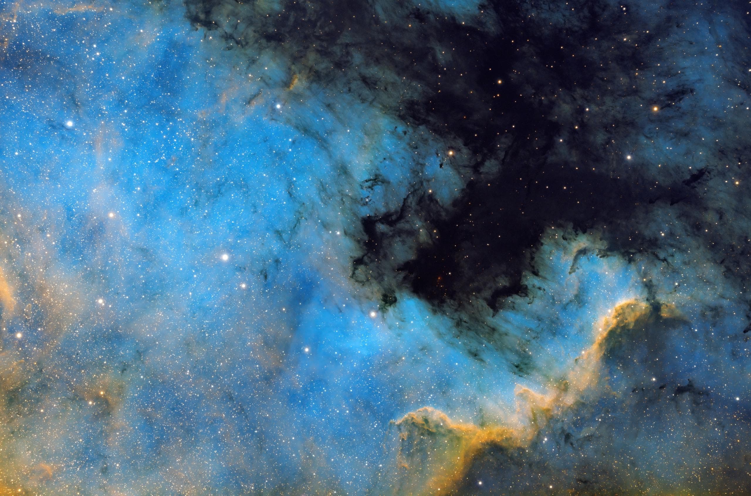 NGC 7000